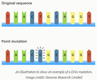 ~UPD~ Dna Mutation Simulation Answer Key Pdf